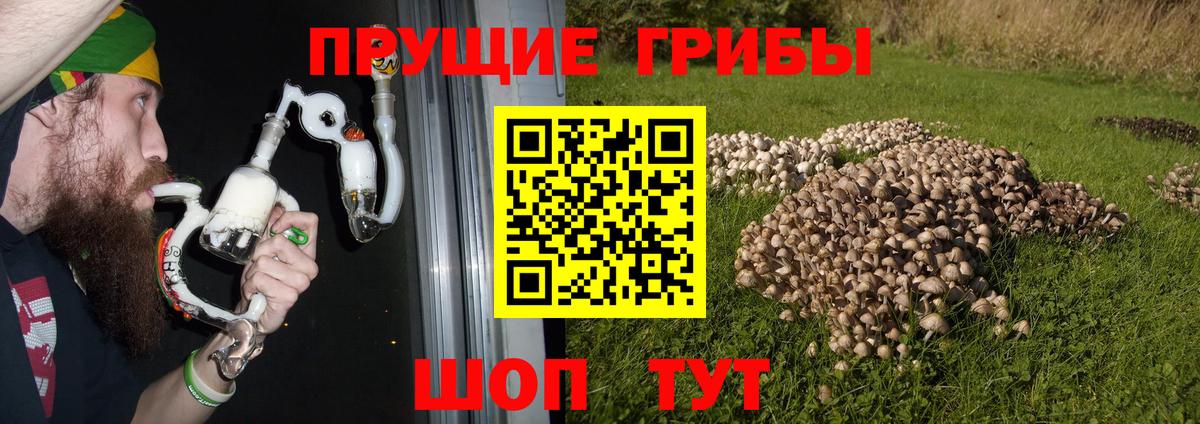 Галлюциногенные грибы мухоморы  Вход с VPN  Кубинка 